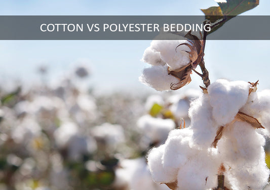 Polyester vs Cotton – which bed sheets should I buy?